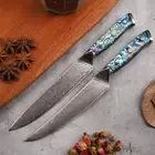 Kitchen Knife Set Utility Chef Meat Slicer 67-Layer Damascus Steel Shell Handle