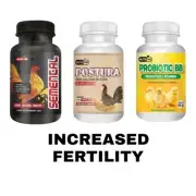 3 Combo Postura- Semental- Probiotics BB one of each- Gallos- Roosters