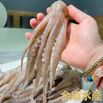 帶皮阿根廷魷魚頭【金龐水產海鮮批發】F033 團爸 團媽 團購 炸物