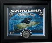Highland Mint NFL Carolina Panthers 9" x 11" Stadium Coin Photo Mint