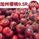 【甜露露】 加州櫻桃9.5R 2盒(600g±10%/盒) ,預計5月7-5月9日出貨