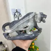 4.84LB Natural agate Quartz Carved tiger Skull Crystal healing Reiki Gem Decor
