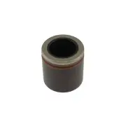 Brake Caliper Piston-Frt Carlson 7869