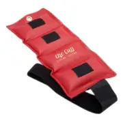 Fabrication Enterprises 10-0206 The Original Cuff Ankle And Wrist Weight 2.5 ...