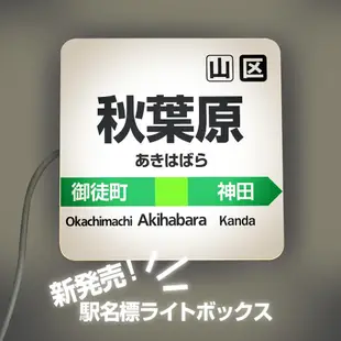 日本職棒 日職 夜燈 USB 氣氛燈 NPB 球衣 球帽 帽子 紀念品 中央聯盟 讀賣巨人 養樂多燕子 橫濱 DeNA