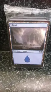 Magic The Gathering Deckmaster Basic Land 80 Cards Deck Trading Gaming Cards