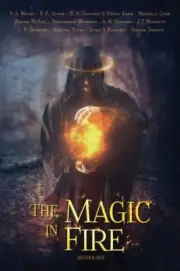 Monteiro - Magic in Fire - New paperback or softback - S555z