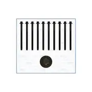 Austral Cylinder Head Bolt Set - 81034200