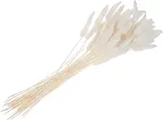 Kichvoe 1 Bunch/60 Pcs Rabbit Tail Grass Dried Flowers Dried Natural Floral Arrangement Bunch Decoration Eternal Flower Dried Grass for Home Wedding Party Photo Prop White