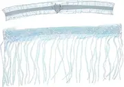[ROMISBABA] Bride's Leg Garter Elegant Tassel Lace Garter for Bride for Wedding Leg Ring Bridal Accessories Sky-Blue