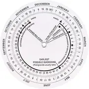 FAMKIT Pregnancy Wheel 8Pcs Pregnant Due Date Calculator Pregnancy Wheel Badge Card for Doctors Midwives Nurses Pregnant Patients, 10.8*108.ｃｍ, Grey, 2344590/1202666USIOA