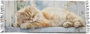 [AIXIWAWA] Cat Sleeping Women's Pashminas Scarf, Shawls Wrap Lightwight Tassel for Evening Dress Dinner Party, Multicolor