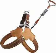 Dog Harness and Leash Set, Anti Pull Step-in Adjustable Reflective Vest Soft Padded Easy Pet Chest Strap with Nylon Rope Dog Leash for Large Medium Small Dogs Walking Training (L)