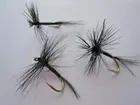1 DZ D17-1 BLACK QUILL (SIZES AVAILABLE), DRY FLIES