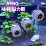 《林作物》迷你 水族箱 懸浮 磁力刷 S M L 多款 水族箱清缸神器 玻璃除藻 玻璃清潔刷 除藻刷 小缸磁力刷 磁吸刷