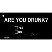 Are You Drunk Novelty Aluminum Key Chain KC-8275