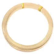 Flat Brass Wire, 1 Roll 30Gauge/0.25x8mm 6m/19.69ft Flat Craft Wire, Brass