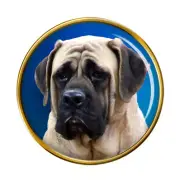 English Mastiff Lapel Pin Badge