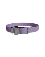 frank green Pet Collar - Large - Lilac Haze