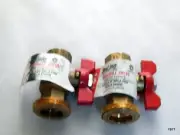 ProLine 1/2 in Brass T-Handle union Ball Valve 2 pack