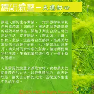 【穠研薪藝】天癒糙米堅果酥6罐(150g/罐)