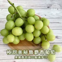 在飛比找蝦皮購物優惠-【綠之果物】秋脆葡萄 秋翠葡萄 綠無籽葡萄 袋裝 原裝進口 