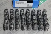 Supertech 77lbs Beehive Springs Set BMW M3 E90 E92 E93 S65B40 SPR-BMS65-BE1-32