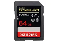 在飛比找Yahoo!奇摩拍賣優惠-☆昇廣☆【公司貨】SANDISK Extreme Pro U