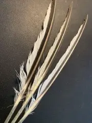 3pcs Genuine Natural Pheasant Feathers 27cm DIY Craft Smudge Fan Collector