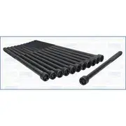 Austral Cylinder Head Bolt Set - 81037800