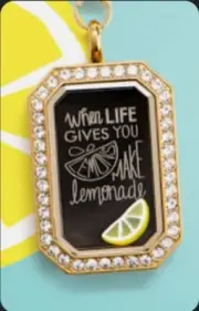 Origami Owl Living Locket Set (new) WHEN LIFE GIVES YOU LEMONS - W/ Chain
