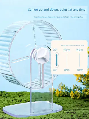 加寬加大倉鼠跑輪透明靜音滾輪夜間運動不吵鬧金絲熊刺蝟適用 (8.3折)
