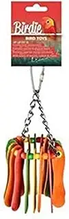 Birdie Rainbow Popsicle Hanging Bird Toy