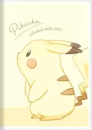2025 Pokemon B6 Pikachu Monthly Schedule NoteBook Diary Book S2958546 from Japan