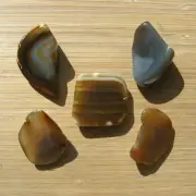 5 Mini Geode Slices Cut Polished Stones Banded Brown Gray Agate Crystals 8oz Lot