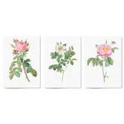 Set of Pink Floral Vintage Botanical Wall Art #2