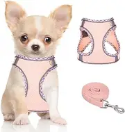 [DoggieKit] Dog Harness for Small Medium Dogs No Pull Adjustable Step in Puppy Harness and Leash Set,Reflective Breathable Mesh Pet Harnesses Soft Padded Vest for Dogs Easy to Put on (Pink, XXS)