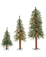 Sterling Tree Company 3Pc Battery Operated Pre-Lit 2-Ft, 3-Ft And 4-Ft Alpine Clear Led Lights Set