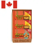Reese's Big Cup Assorted Variety 12 Pack – Caramel, Peanut Butter & Pieces (Vale