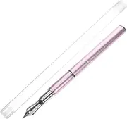 Homoyoyo 1 Set Professional Nail Art Fountain Pen Kit with Replacement Beads Lightweight Painting Tools for Manicures for Home and Salon Use for Nail Art Lovers Pink