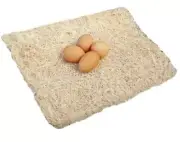 10 Pack Excelsior Poultry Pads 13X13