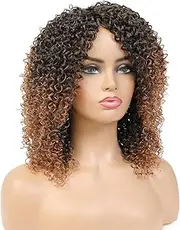 Short Wigs for Black Women Kinky Curly Wigs for Black Women Afro Wigs for Black Women Natural Hair Wigs for Black Women
