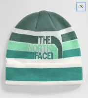 The north face beanie hat