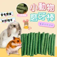 在飛比找蝦皮購物優惠-【12hr出貨】牧草棒 天竺鼠 苜蓿草 提摩西牧草 磨牙棒 