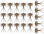 Fishing Lures - Bass Fly Kit, Imitation Set | Hand Nymph Baits, Trout Salmon Attractors, Realistic Water Use, Fly Hook Collection