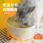 *QY PET LIFE*貓狗寵物飲水機 貓咪恆溫飲水機 寵物加熱飲水器 保溫陶瓷碗 陶瓷貓水盤 喝水不燙嘴 不溼嘴 幼