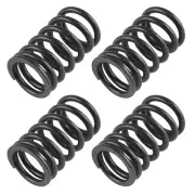 4x Valve Inner Spring for Yamaha YXE70 Wolverine R-Spec EPS 2016-2018