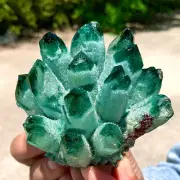 238G Newly discovered green phantom quartz crystal cluster mineral sample