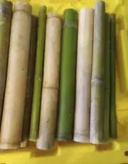 50 Bamboo Pole 12" Pieces Yard Art Decor Variety Sizes For Craft Bulk 1'