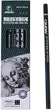 12 Extra Soft Sketching Pencils, Charcoal Pencils for Artists, Sketching Charcoal, Easy Cutting Paper Pole Charcoal